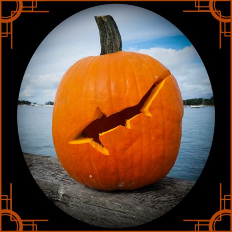 Halloween Pumpkin Carving Stencils | NOAA Fisheries