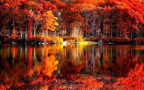 Fall Scenery HD Wallpapers Free Download