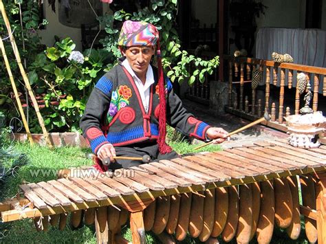 a man is playing an instrument outside in the grass