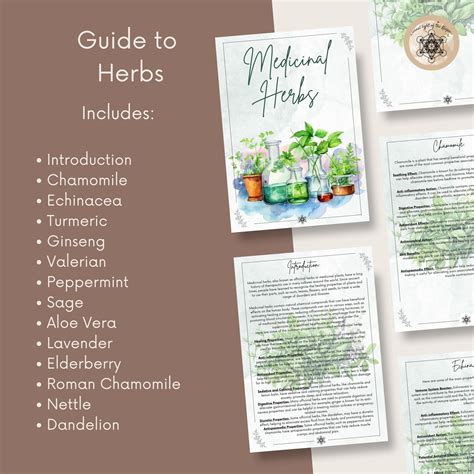 Printable Herbal Medicine Guide: A4 PDF on Medicinal Herbs, Herbal ...