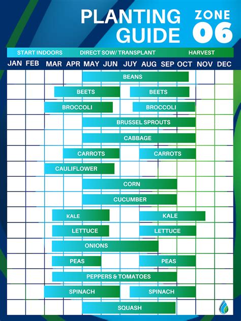 Printable Zone 6 Planting Schedule