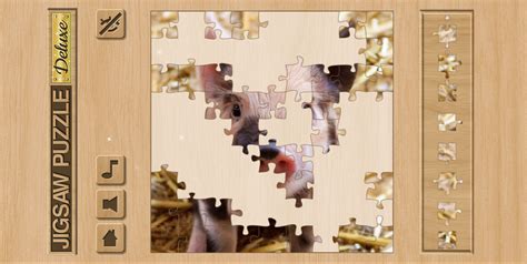 Jigsaw Puzzle Deluxe kostenlos spielen bei RTLspiele.de