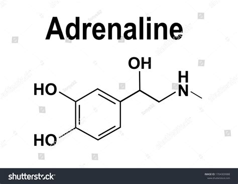 Adrenaline Epinephrine Hormone Chemical Structure Epinephrine Stock ...