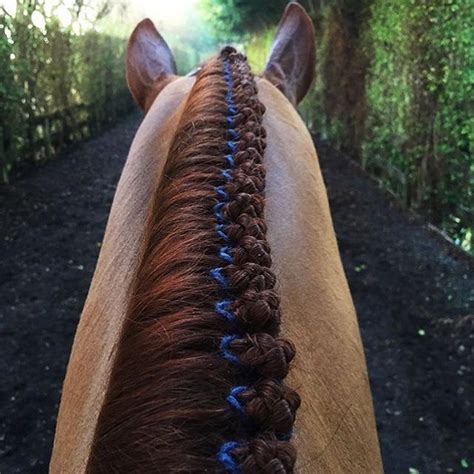 Beautiful Horse Hairstyles - Cowboy Magic - Cowboy Magic