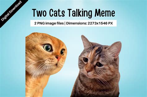 Two Cats Talking Meme Graphic by Pixtordesigns · Creative Fabrica