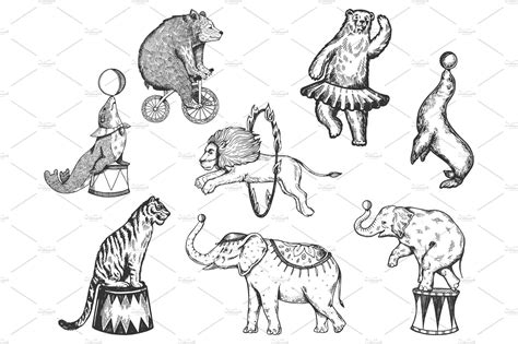 Retro circus animals performance set | Circus animals illustration ...