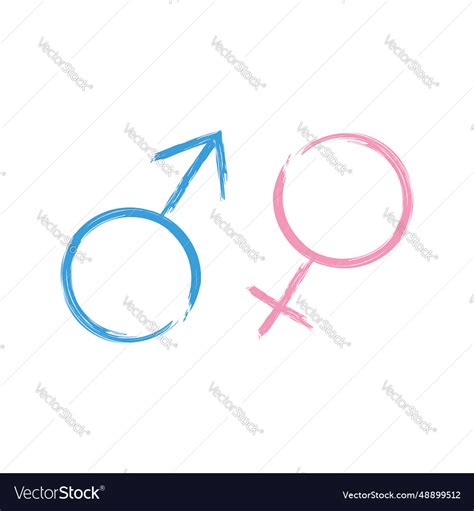 Gender symbols Royalty Free Vector Image - VectorStock