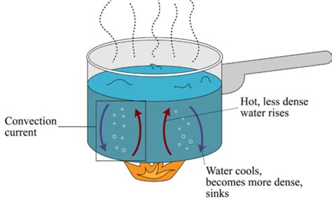 Convection ( Read ) | Physical Science | CK-12 Foundation