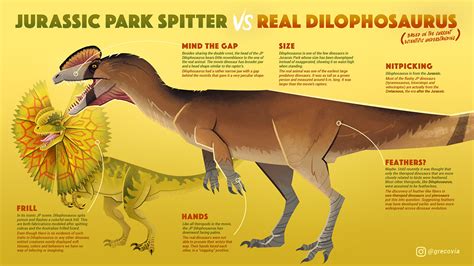 Velociraptor Size Comparison Jurassic Park