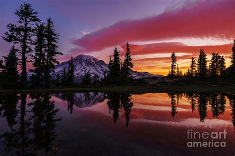 Mount Rainier Sunrise Reflection #1 Photograph by Mike Reid - Pixels