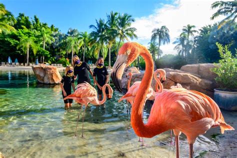 Best Orlando Theme Parks: Top 10Best Park Reviews