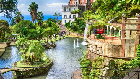 De botanical gardens van Madeira | Voja travel Madeira