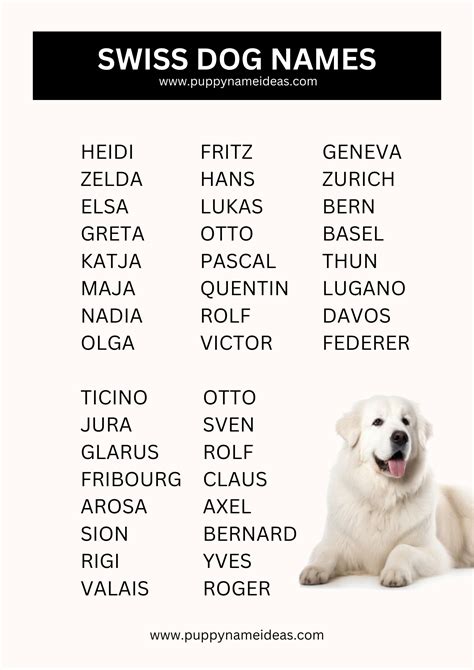 175+ Swiss Dog Names (With Meanings)