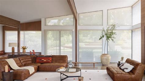 Hunter Douglas Feature: Silhouette® Sheer Shades | Hill Country Blinds