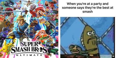 10 Hilarious Memes That Sum Up The Super Smash Bros. Games