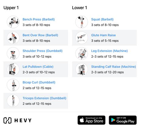 Daily Workout Routine For Upper Body Beginners - Infoupdate.org