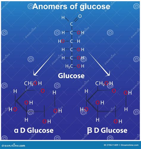 Anomers of Glucose Pyranose Alpha D Glucose Stock Vector - Illustration ...