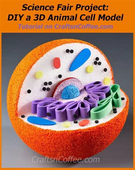 Create a Stunning Plant Cell Model using Clay: Step-by-Step Tutorial ...