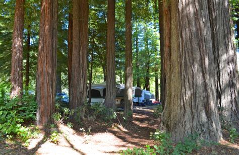 Giant Redwoods RV Park & Camp (Myers Flat, CA) - Resort Reviews ...