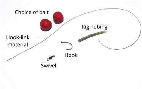 7 Best Carp Rigs For Beginners - (2021 Guide with Pictures)