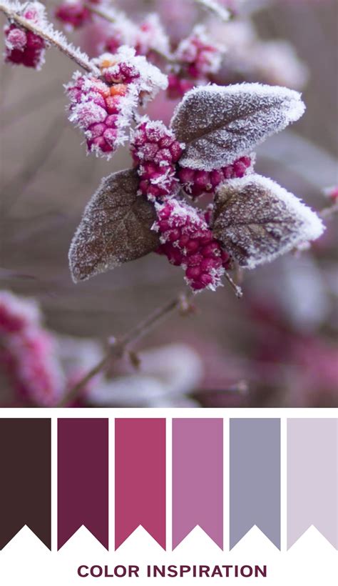 beautiful mauve color scheme | Paleta de cores rosa, Paleta de cores ...