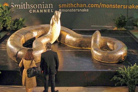 ShukerNature: GIANT ANACONDAS AND OTHER SUPER-SIZED CRYPTOZOOLOGICAL SNAKES