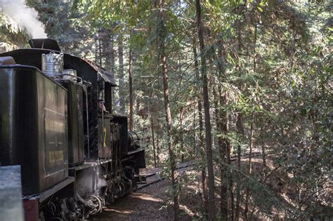 Through the Redwoods on the Roaring Camp Railroads - Postcards & Passports