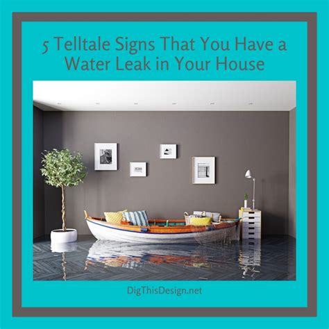 5 Telltale Signs You Have a Water Leak in Your House - Dig This Design