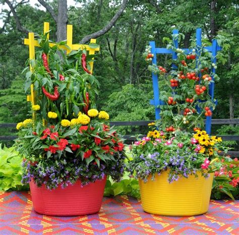 22 Stunning Container Vegetable Garden Design Ideas & Tips