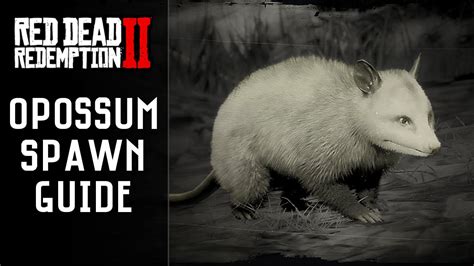 Opossum rdr2 location