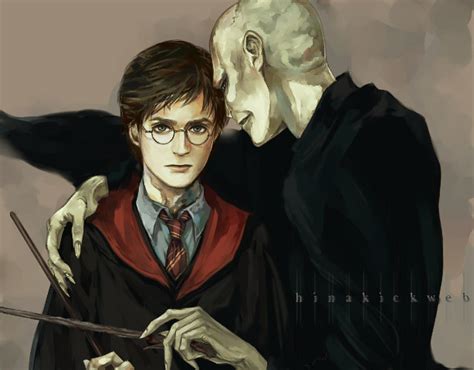 Harry and Voldemort - Harry Potter and Lord Voldemort Fan Art (17369856 ...