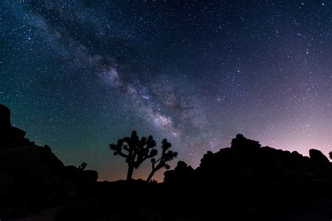 Joshua Tree Night Sky Festival 2024 - Berte Melonie