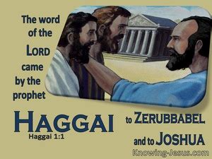 Haggai Devotional Commentary