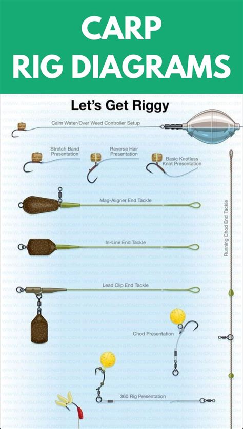 Carp Rig Diagrams | Carp fishing rigs, Carp rigs, Carp fishing