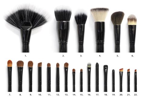 Makeup Brushes 101 | You Put It On