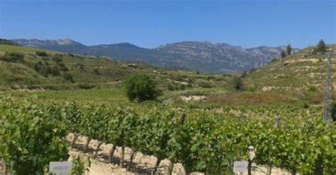 Rioja Wine Tours | Essential Haro | Grape Escapes