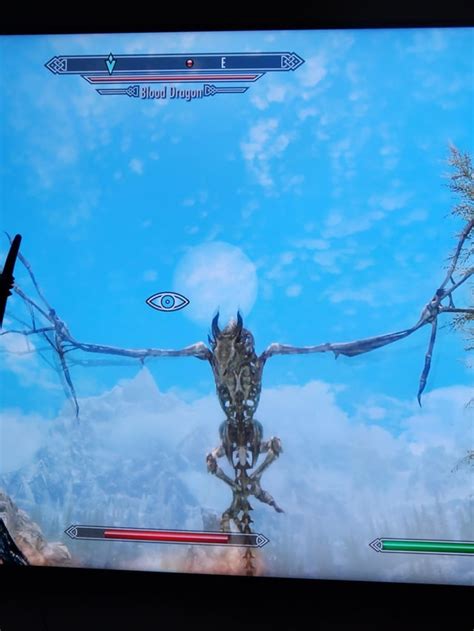 Um skeleton dragon flying and attacking me. (no mods on) Never had this ...