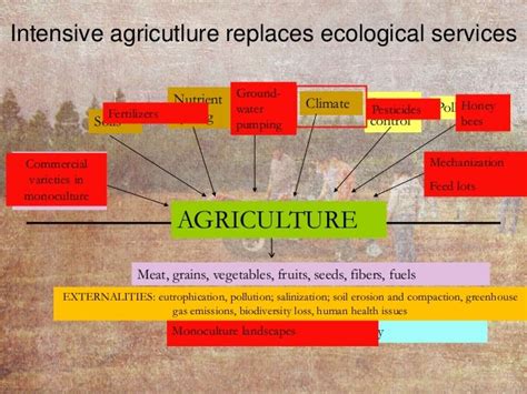 Agroecology: Principles and Practices