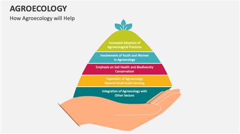 Agroecology PowerPoint and Google Slides Template - PPT Slides