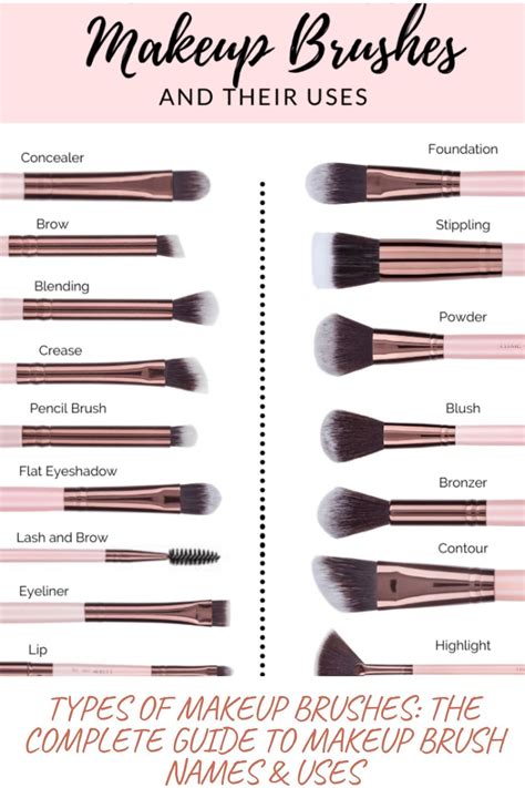 TYPES OF MAKEUP BRUSHES: THE COMPLETE GUIDE TO MAKEUP BRUSH NAMES ...