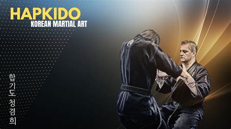 Hapkido Korean Martial Arts Wallpaper - Resolution:1920x1080 - ID ...