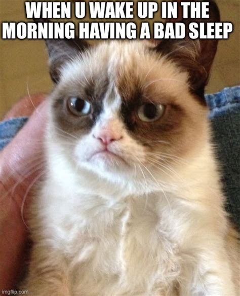 Grumpy Cat Memes - Imgflip