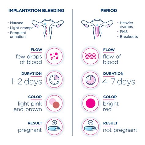 Implantation Bleeding: All you need to know - Clearblue