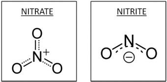 Nitrite and Nitrate - OEHHA