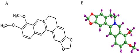 Structures of Berberine (A) 2D chemical structure of Berberine (B) 3D ...