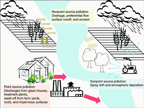 Schematic drawing showing pathways for point and nonpoint source ...