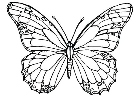 This Is Detailed Butterfly To Color Mackira Thanatos