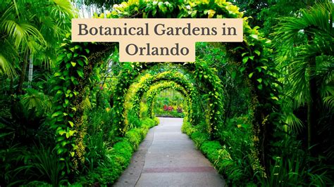 7 Must-Visit Botanical Gardens in Orlando in 2025: A Serene Escape