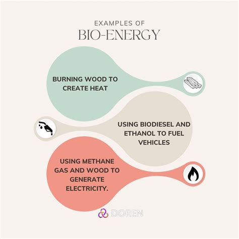 Bio-Energy Examples - DoRen - Medium