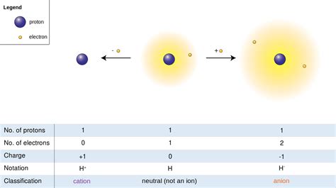 Difference Between Cation and Anion